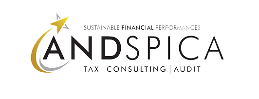 ANDSPİCA BAĞIMSIZ DENETİM ANONİM ŞİRKETİ
